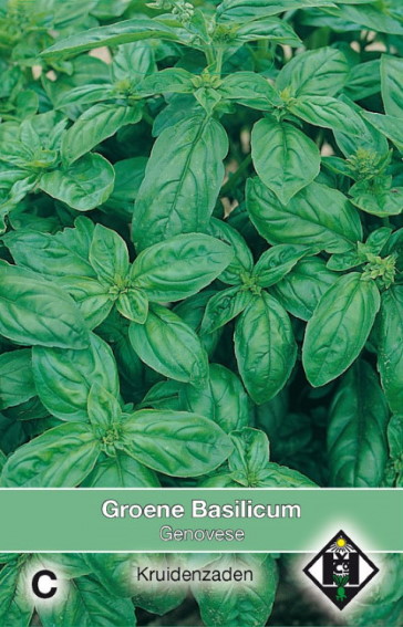 Basil Genovese (Ocimum basilicum) 600 seeds HE